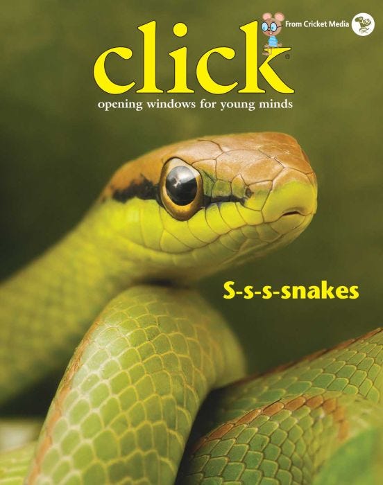 Do Snakes Make a Clicking Sound 