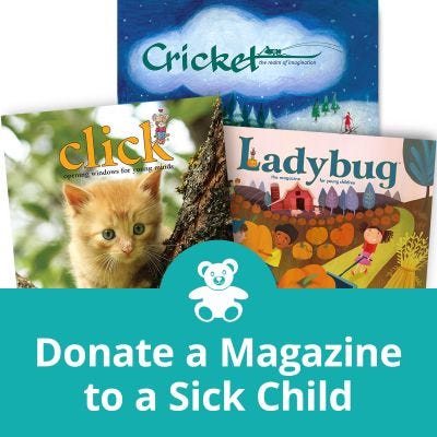 Donate A Magazine Subscription to a Sick Child